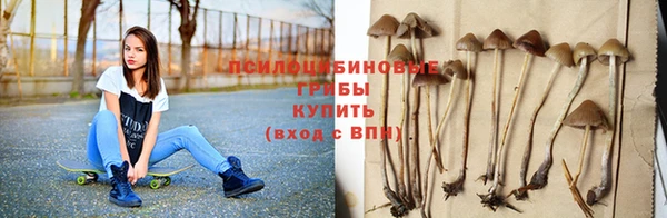 дурь Вязьма